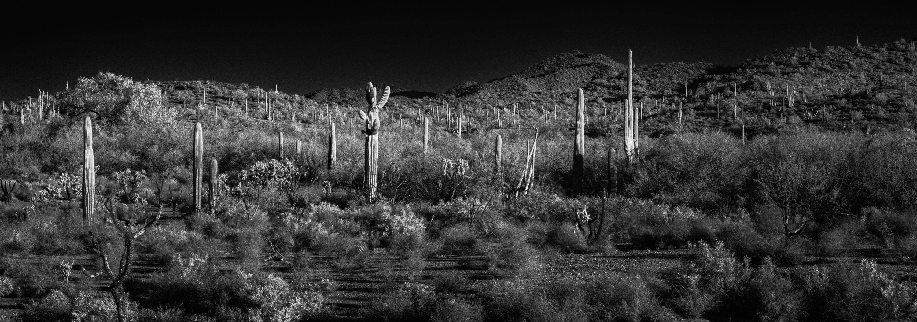 Mountain Vista at Sunset
