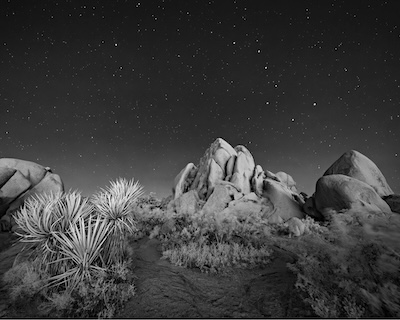 Joshua Tree National Park CA